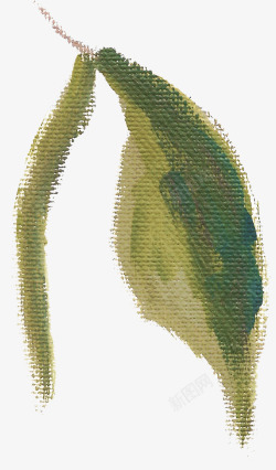 清新植物花朵美容水彩手绘花卉包装婚礼邀请卡图设计素材