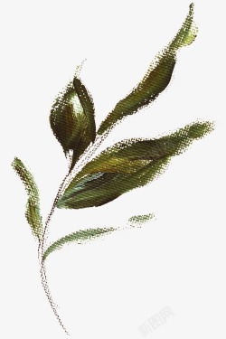 清新植物花朵美容水彩手绘花卉包装婚礼邀请卡图设计素材