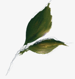 清新植物花朵美容水彩手绘花卉包装婚礼邀请卡图设计素材