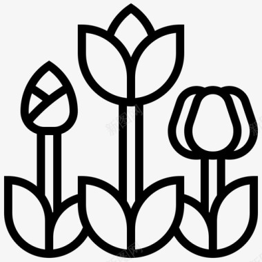 郁金香植物学彩色图标