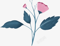 插画植物手绘线稿绘画花朵素材