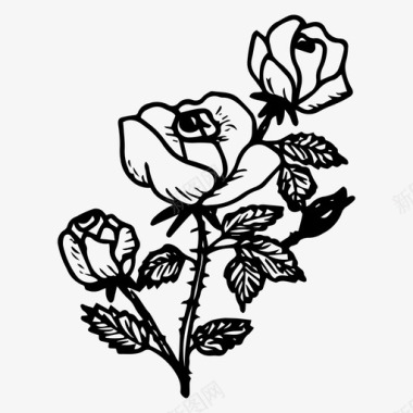 手绘红色玫瑰花玫瑰花手绘图标
