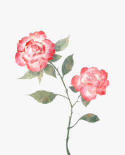 最近摸的植物百合玫瑰花框不嫌弃半次元ACG爱好者社素材
