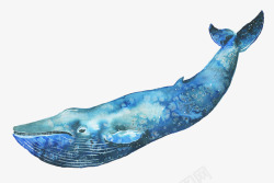 唯美漂亮水彩手绘英文拉花字体海洋生物鲸鱼魔鬼鱼免扣素材