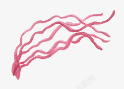 唯美漂亮水彩手绘英文拉花字体海洋生物鲸鱼魔鬼鱼免扣素材