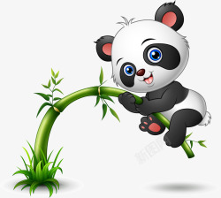 卡通熊猫模板竹子素材