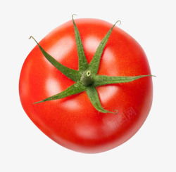 一颗番茄素材