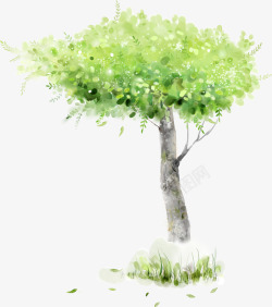 唯美水彩树木手绘墨迹树叶盆栽园艺花卉叶子免扣透明设素材