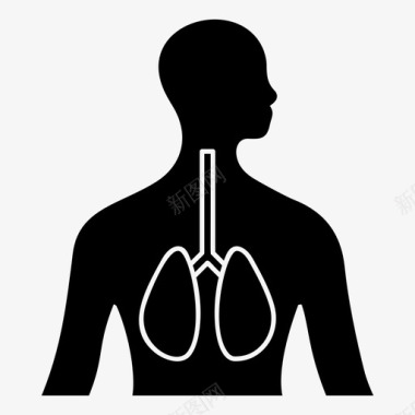 支气管呼吸系统支气管人体器官图标