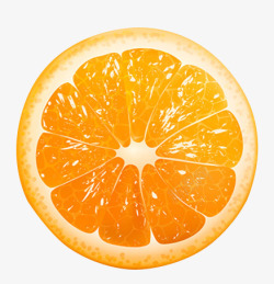 切片橙子素材