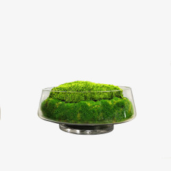 现代小型苔藓花艺桌花茶几端景台装饰花艺样板房会所酒素材