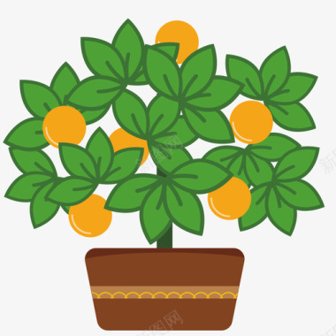 橘子树图标