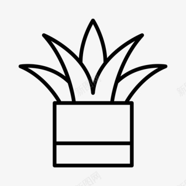 多汁植物装饰品室内植物图标