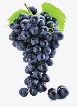 紫葡萄绿葡萄酒水果658898素材