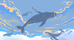 梦幻插图鲸鱼彩云素材