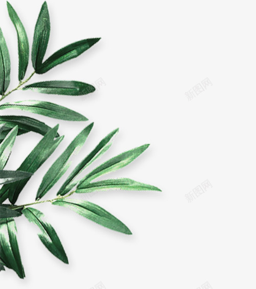 绿色植物树叶现代简约png免抠素材_88icon https://88icon.com 绿色 植物 树叶 现代简约