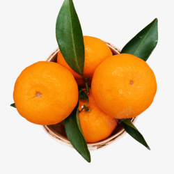 年桔年桔大桔高清图片