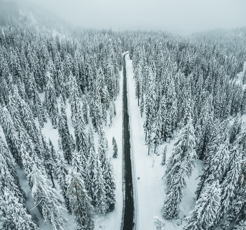 冬季的大森林jpg设计背景_88icon https://88icon.com 冬天 大雪 森林 马路