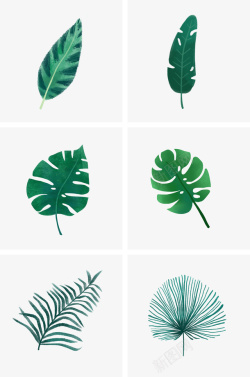 绿色植物树叶插画素材素材