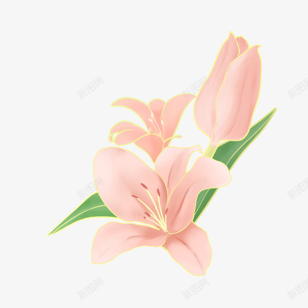 粉红色的花朵插画素材png免抠素材_88icon https://88icon.com 花朵 花瓣 粉红色 植物