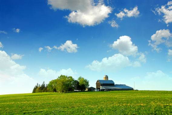 郊外蓝天白云下的绿色农场背景