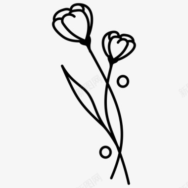 免抠花环PNG野花植物装饰图标