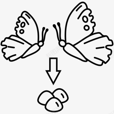 蝴蝶图标免抠蝴蝶变态蝴蝶叶蝉发育周期图标