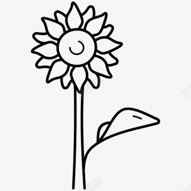 橡树种子向日葵花徽花瓣图标