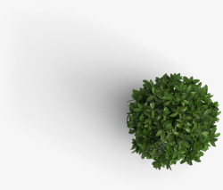 盆栽俯视绿色植物北欧素材
