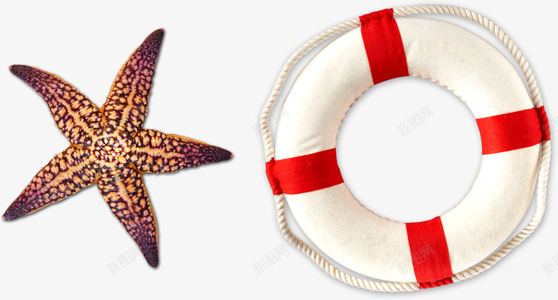 海星游泳圈png免抠素材_88icon https://88icon.com 海星 游泳