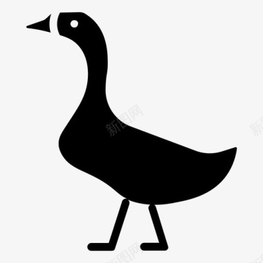 鸭子动物家禽图标