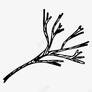 树枝树枝手绘草本植物图标