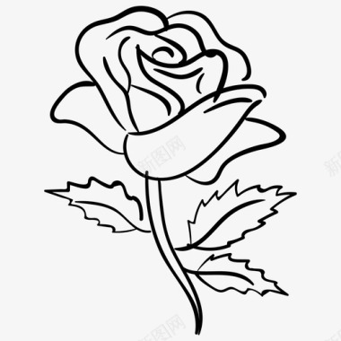 玫瑰花朵花朵设计图标