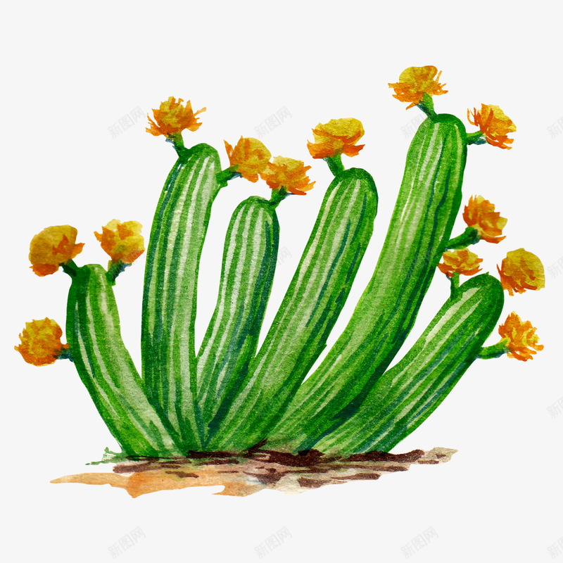 水彩仙人掌插画免扣cactus08png免抠素材_88icon https://88icon.com 水彩 仙人掌 插画 免扣