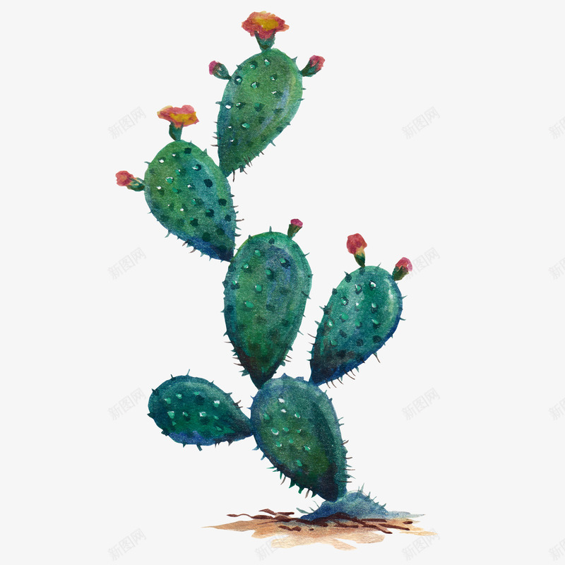 水彩仙人掌插画免扣cactus14png免抠素材_88icon https://88icon.com 水彩 仙人掌 插画 免扣