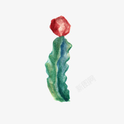 水彩仙人掌插画免扣cactus10素材