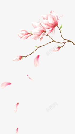创意水彩手绘桃花装饰壁纸素材