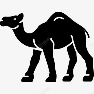 骆驼商队沙漠图标