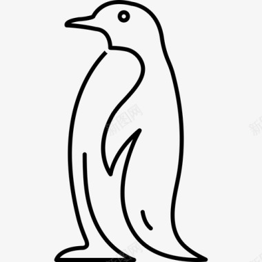 企鹅南极洲黑白相间图标