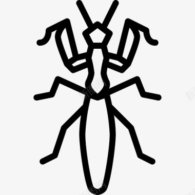 保护色螳螂螳螂动物昆虫图标