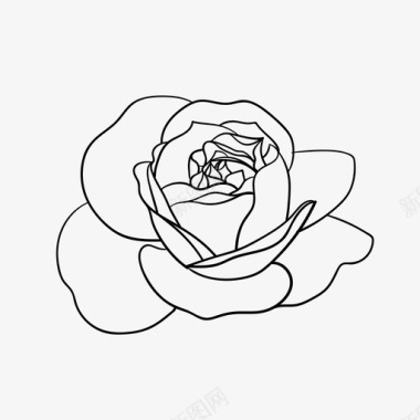 玫瑰花植物玫瑰图标