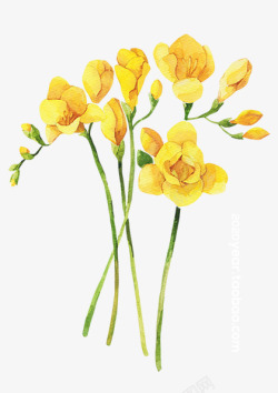 春季春天鲜花黄色花素材