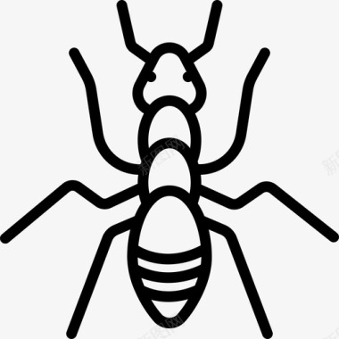 敬业的小动物蚂蚁小动物动物图标