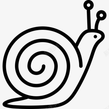 蜗牛海螺腹足类图标