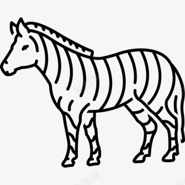 斑马黑白动物群图标