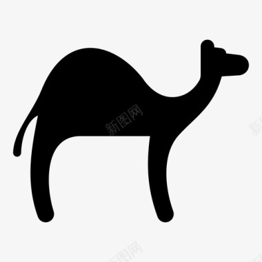 埃及图片骆驼动物单峰骆驼图标
