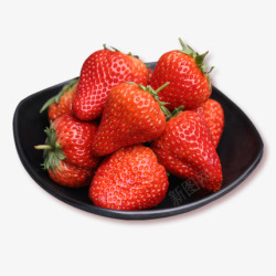 正宗丹东草莓99草莓3斤红颜奶油东港久久大草梅孕妇素材
