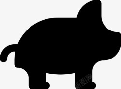 家养猪猪野猪家养高清图片