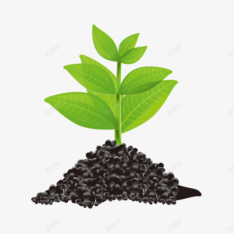 发芽嫩芽发芽种子发芽绿色发芽小草发芽嫩芽发芽发芽动png免抠素材_88icon https://88icon.com 发芽 嫩芽 小草 小草生长过程图 种子 绿色