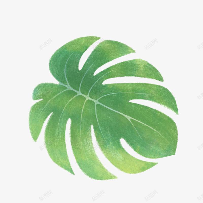 手绘大自然树叶绿色植物叶子png免抠素材_88icon https://88icon.com 手绘 大自然 树叶 绿色植物 叶子